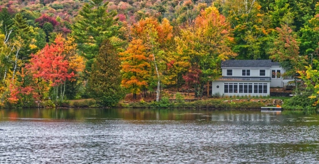 Home near body of water with trees surrounding could see an impact in insurance rates due to risk rating 2.0