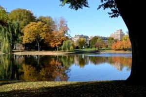 boston public garden