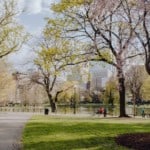 Boston Common Park