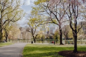 Boston Common Park