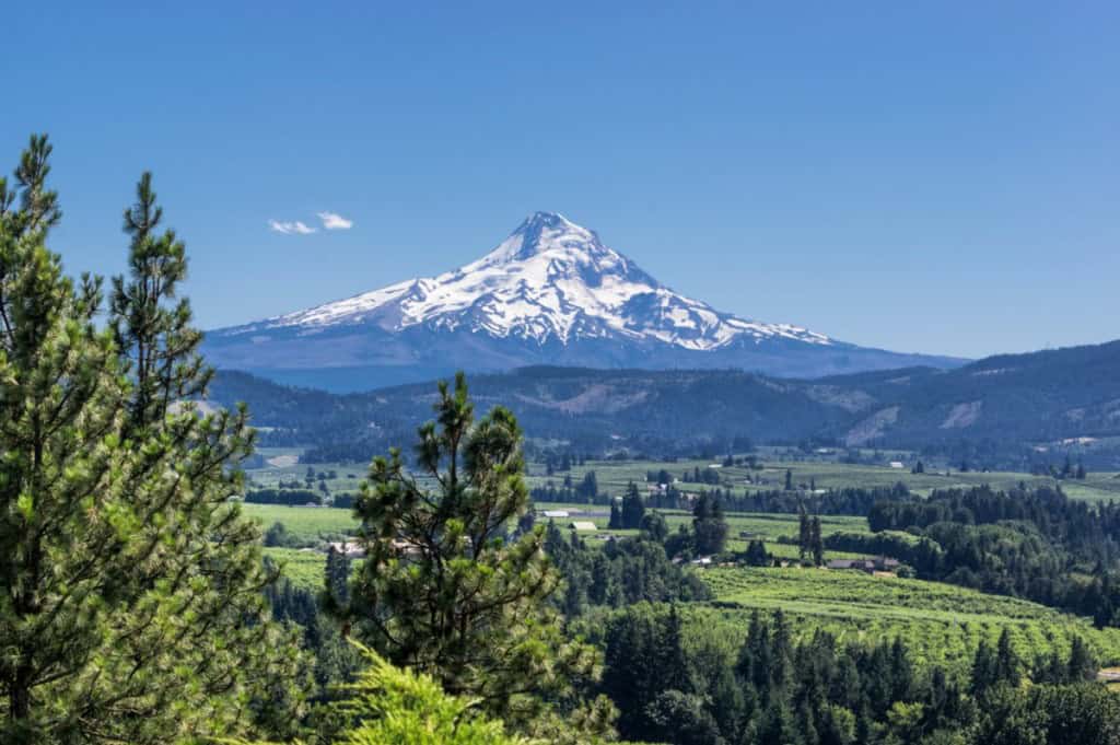 view of mt hood from gresham oregon