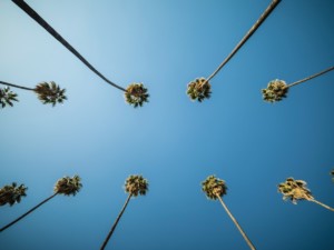 blog article
