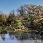 park in rockford il with trees and blue sky