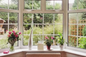 Flowers on a window sil