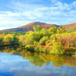 reasons-to-move-to-westfield-ma-2