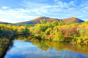 reasons-to-move-to-westfield-ma-2