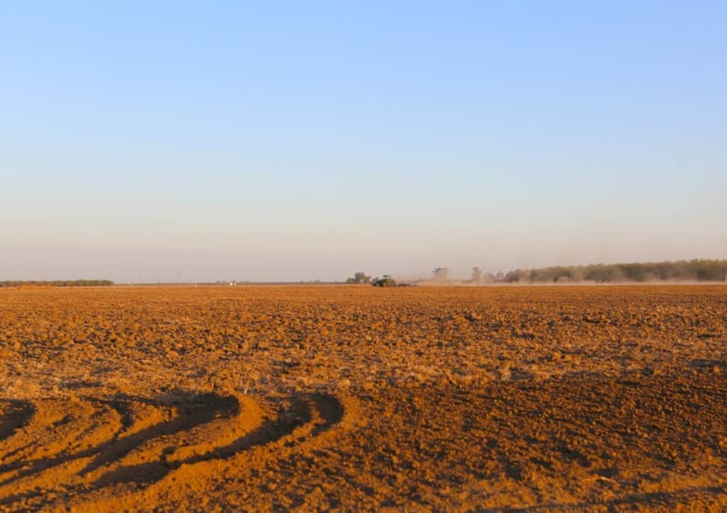 field in merced california on a clear day