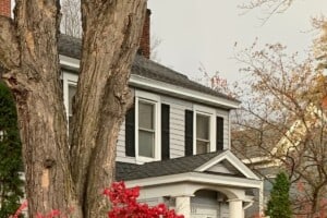 white house with trees