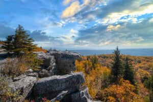 Bear Rocks - Dolly Sods Wilderness WV in Autumn