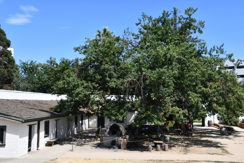 Sacramento,Ca,-,Aug,19:,Sutters,Fort,State,Historic,Park