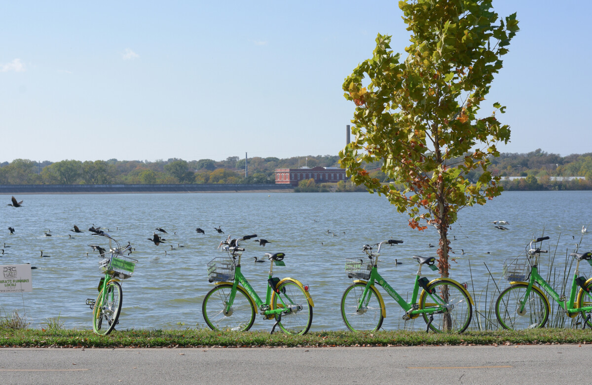 Dallas,,Texas,-,Nov,05,,2017,:,Limebike,Service,At