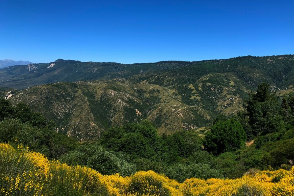 san bernardino mountains