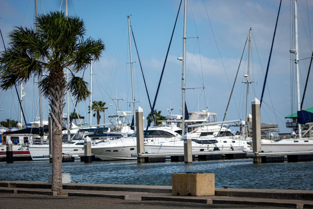 boats at the corpus christi marina