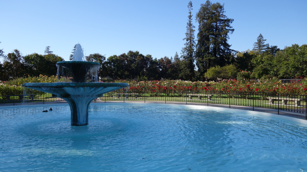 Water,Fountain,In,The,Municipal,Rose,Garden,In,San,Jose