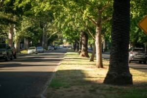 blog article