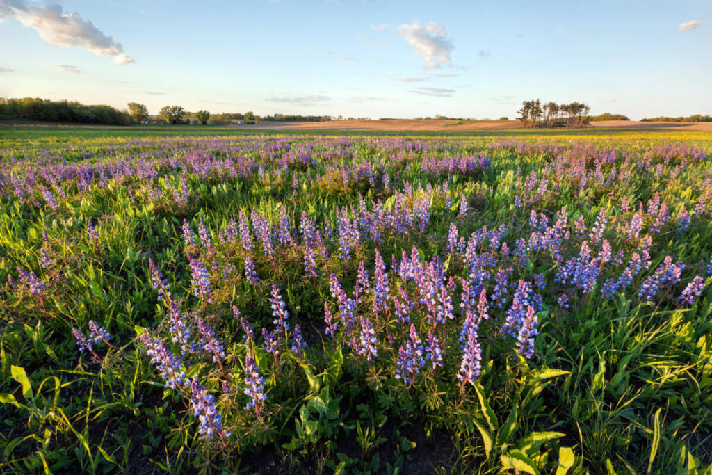 best-places-to-live-in-illinois-2