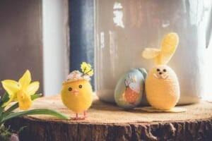 Chick easter eggs