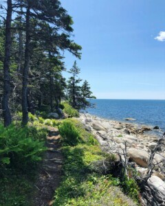 Rocks next to body of water