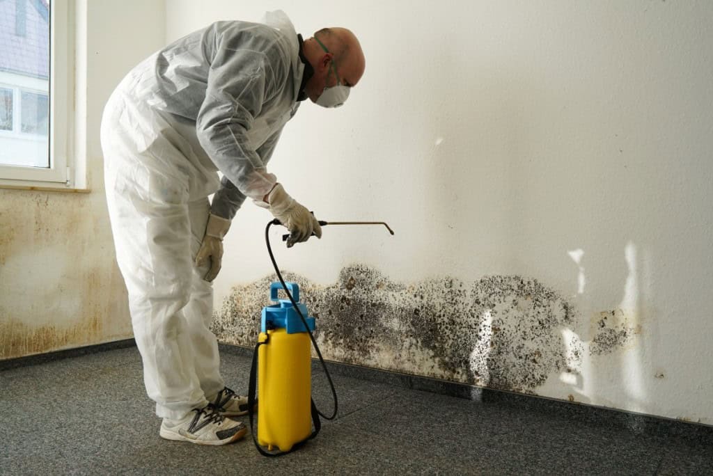 A person in PPE remediating mold growth on the wall after buying a house with mold.