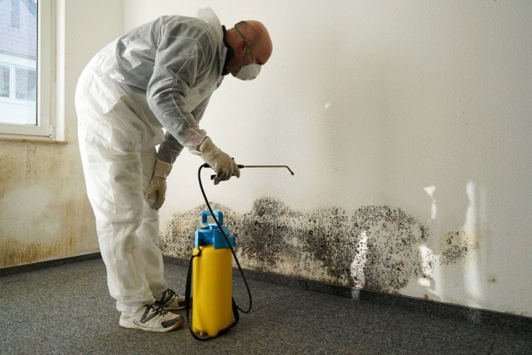 A person in PPE remediating mold growth on the wall after buying a house with mold.