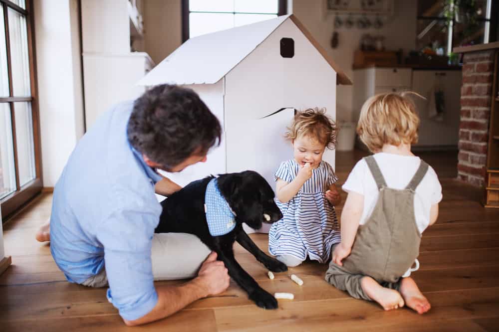 father and toddler playing indoors with their dog
