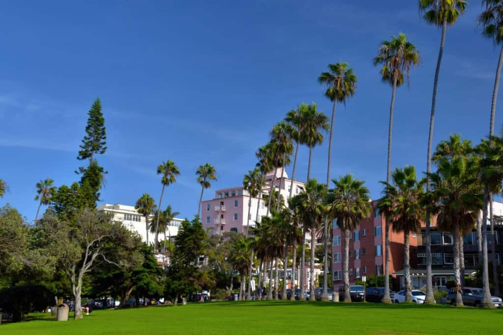 Palm trees in front of buildings in San Diego, CA.