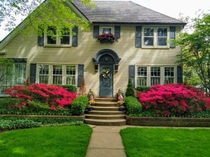 house with pink flowers