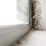 where does mold grow in a house